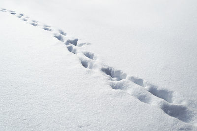 Deep footprints in the snow on a sunny winter day