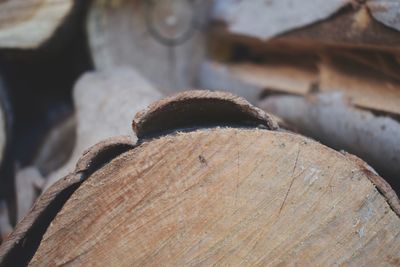 Close-up of logs