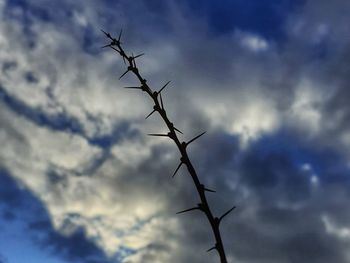 Low angle view of silhouette bare tree against sky