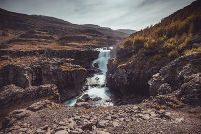 Scenic view of waterfall in forest