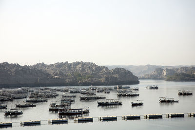 Sailboats moored in harbor against clear sky