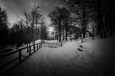 Bare trees on snow covered landscape against sky