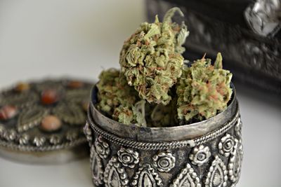 Close-up of cannabis in container on table