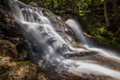 Scenic view of waterfall in forest