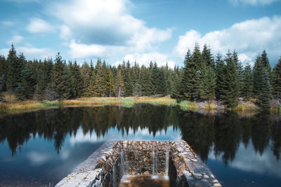 Colorful lake in the middle of a spruce forest with a reflection on the water surface.