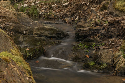 Stream flowing through rocks in forest