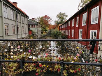 Flowering plants by railing against buildings in city