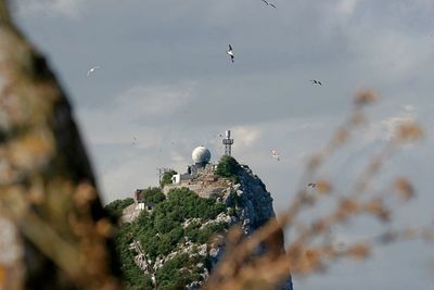 Birds flying over buildings on mountain against sky