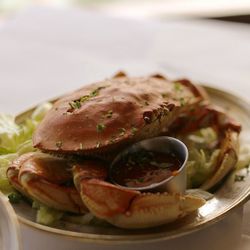 Close-up of crab served in plate