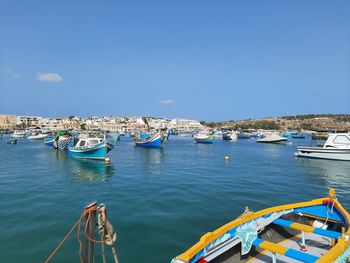 Sailboats moored in harbor