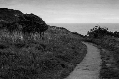 Empty walkway by sea