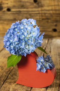 Close-up of fresh purple hydrangea flowers on table