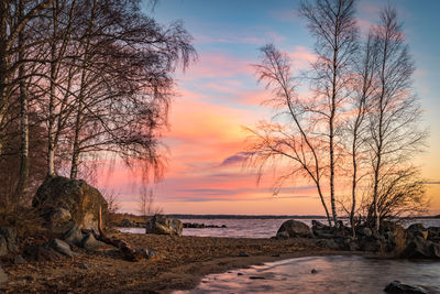 Bare tree by sea against sky during sunset