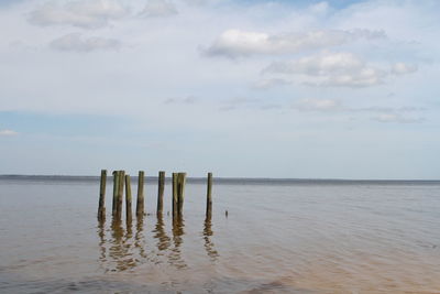 Wooden posts in sea against sky