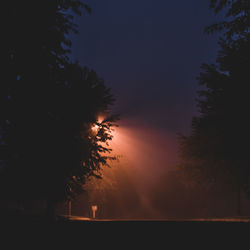Silhouette trees against sky at sunset