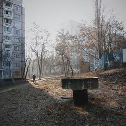 Bare trees in front of building