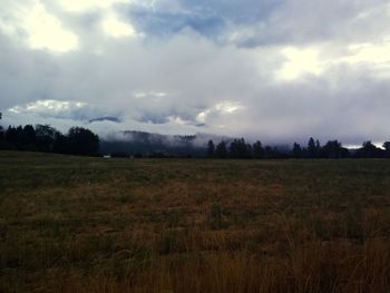 Scenic view of field against sky