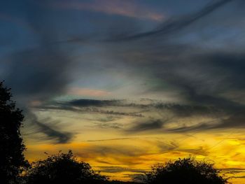 Low angle view of silhouette trees against sky during sunset