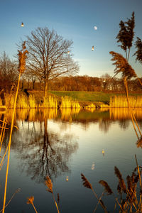 Scenic view of lake against sky at sunset