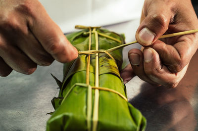 Close-up of hand holding leaves