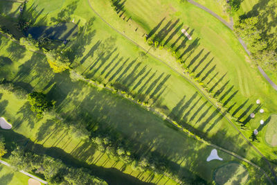 Aerial view of golf course