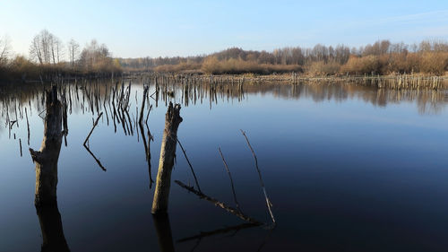 Pond on the river kuryka, bryansk region, russia