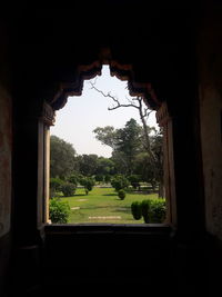 Trees seen through arch window of building