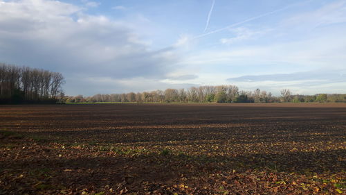 Scenic view of field against sky