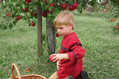 Portrait of boy standing on field