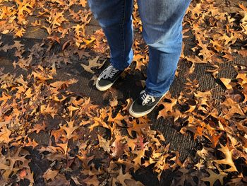 Low section of man standing on autumn leaves