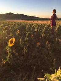 Woman in sunflower field