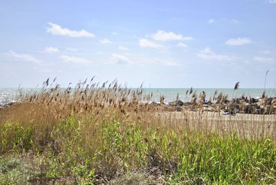 Scenic view of sea against sky