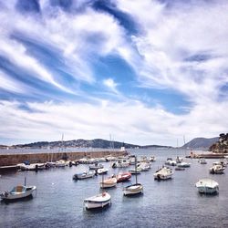 Boats in harbor