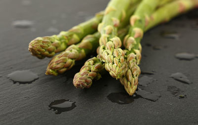 Close-up of asparagus over black background