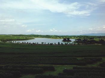 Scenic view of grassy field against sky