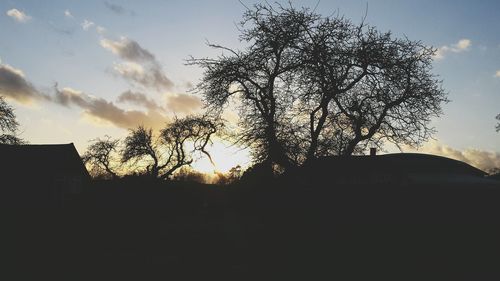 Low angle view of bare tree against sky