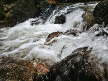 Stream flowing through rocks in forest