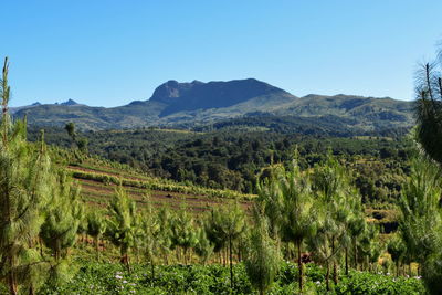 Scenic mountain landscapes against sky, elephant hill in the aberdare ranges, kenya