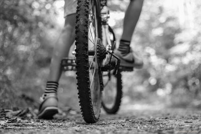 Low section of person with bicycle on road