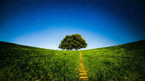 Trees on field against sky at night