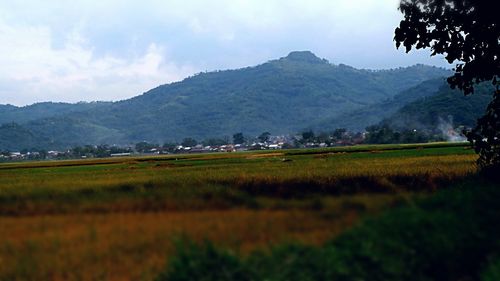 Scenic view of field against sky