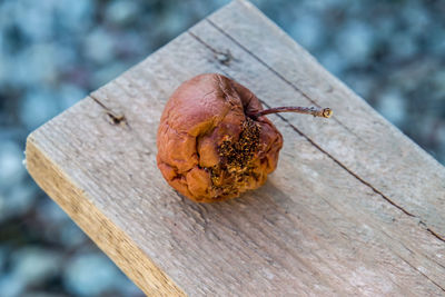 Close-up of orange on table