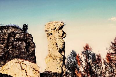 Low angle view of rock formation amidst trees against sky