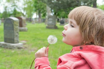 Close-up of baby boy blowing dandelion at cemetery