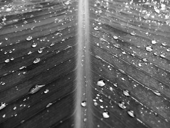 Full frame shot of raindrops on wood