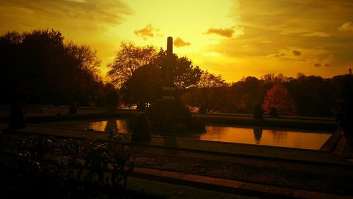 Silhouette of trees at sunset