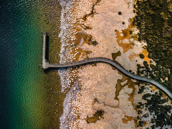 High angle view of lizard on metal