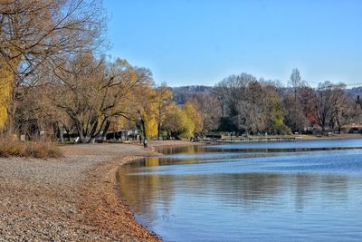 Scenic view of lake by trees against sky