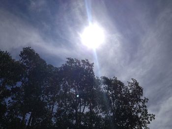 Low angle view of trees against cloudy sky