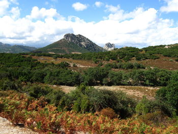 Scenic view of green landscape and mountains against sky